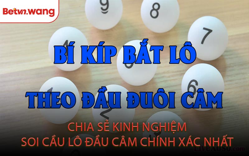 Chia Sẻ Kinh Nghiệm Soi Cầu Lô Đầu Câm Chính Xác Nhất