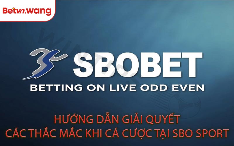 Hướng Dẫn Giải Quyết Các Thắc Mắc Khi Cá Cược Tại SBO Sport