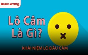 Khái Niệm Lô Đầu Câm