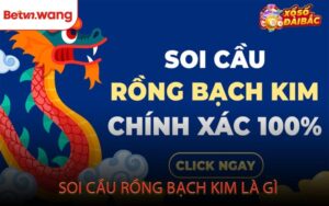 Soi Cầu Rồng Bạch Kim Là Gì