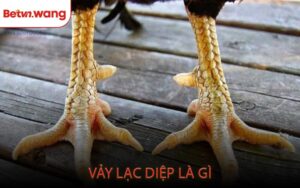 Vảy Lạc Diệp Là Gì