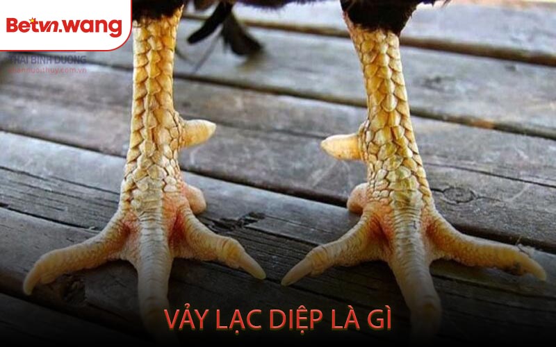 Vảy Lạc Diệp Là Gì